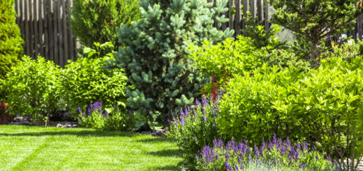 Créer un petit coin de paradis dans votre jardin