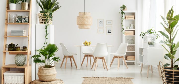 Comment décorer un intérieur de maison avec des plantes vertes